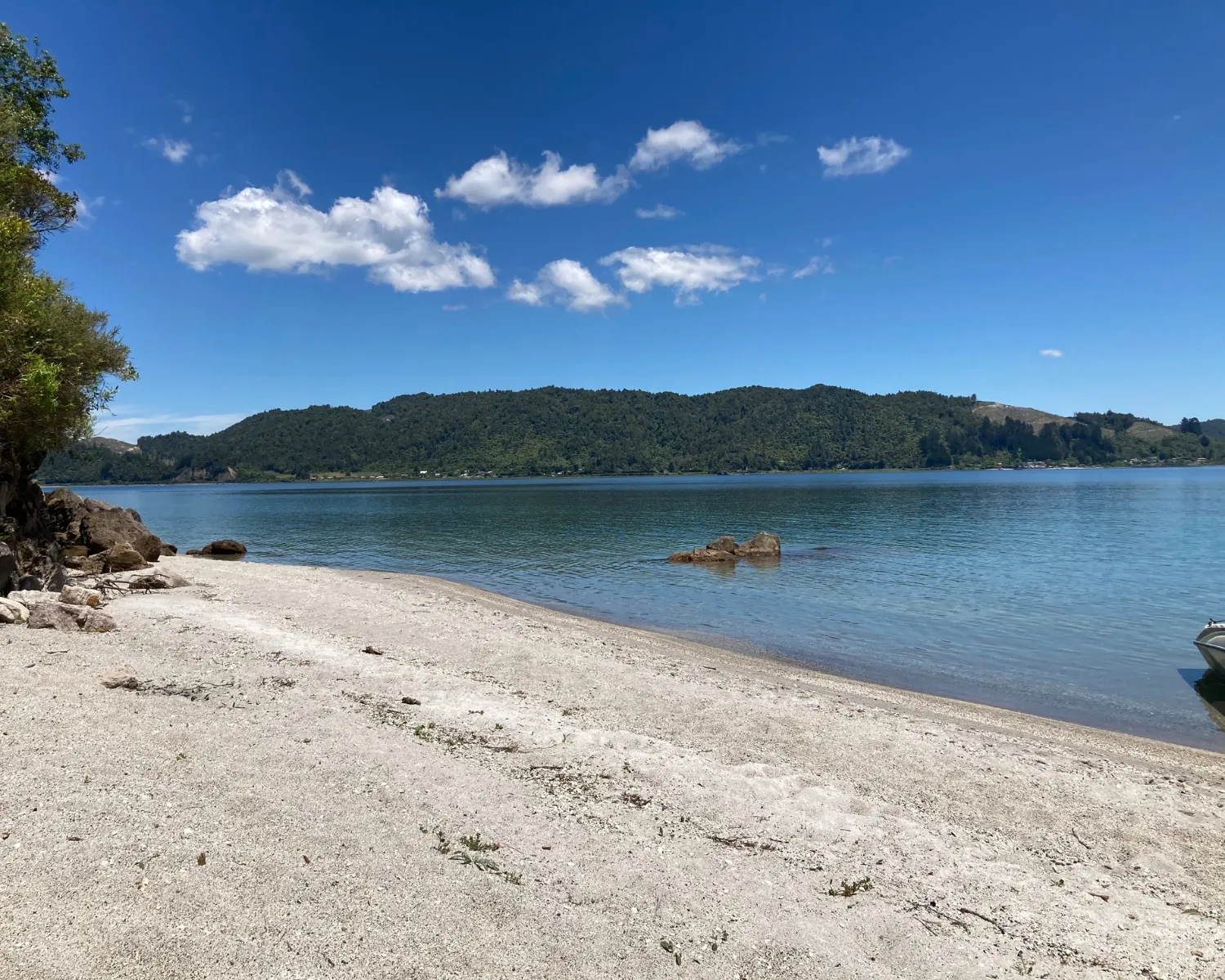 Beautiful Lake Rotoma beach
